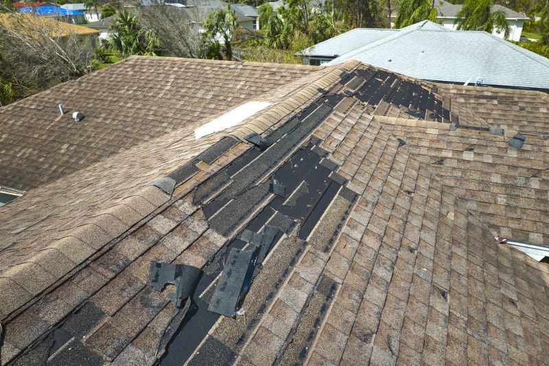 Damaged Shingles Repair